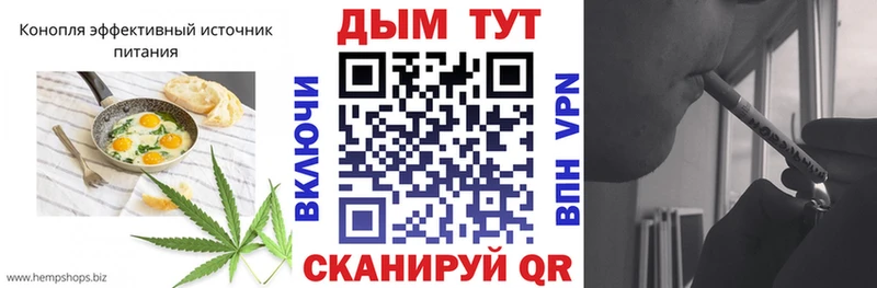 kraken tor  Муром  Cannafood марихуана 