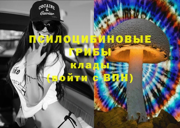 МДПВ Вязники