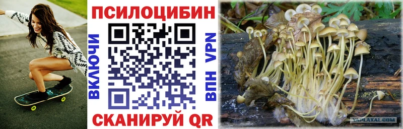 купить закладку Муром Псилоцибиновые грибы мухоморы